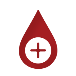 Blood